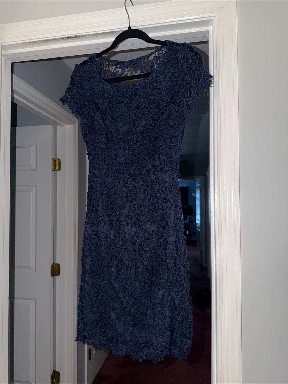 Navy Lace Cap-Sleeve Dress